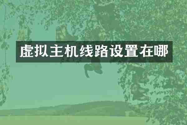 虚拟主机线路设置在哪
