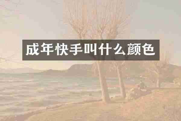 成年快手叫什么颜色