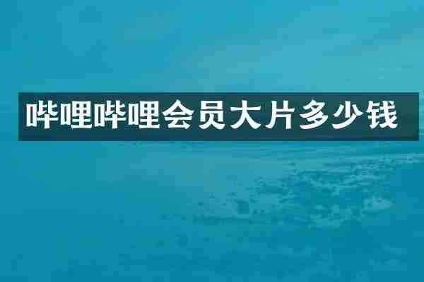 哔哩哔哩会员大片多少钱