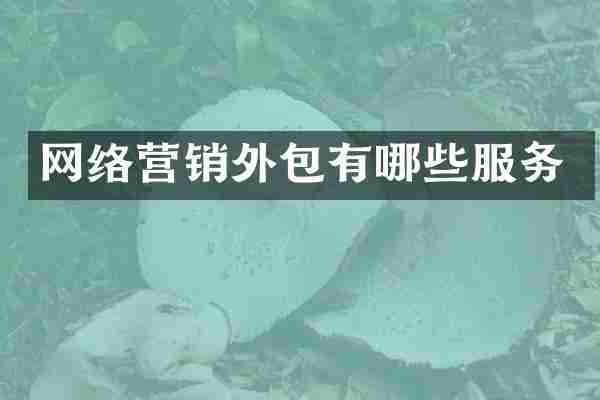 网络营销外包有哪些服务