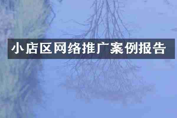 小店区网络推广案例报告