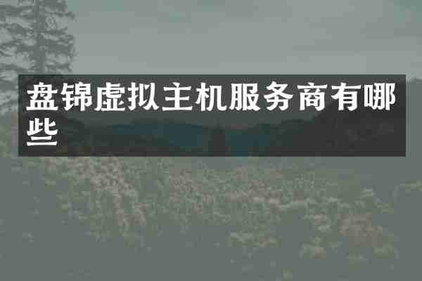 盘锦虚拟主机服务商有哪些