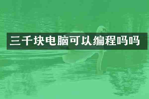 三千块电脑可以编程吗吗