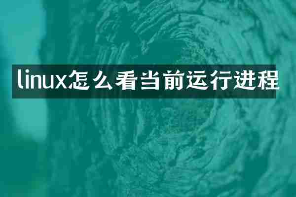 linux怎么看当前运行进程