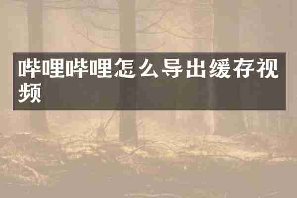 哔哩哔哩怎么导出缓存视频