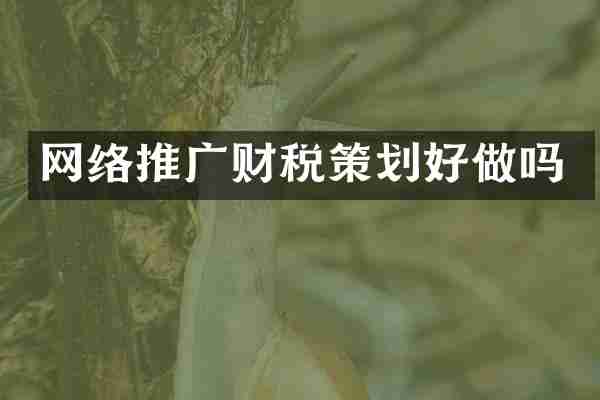 网络推广财税策划好做吗