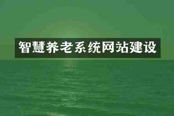 智慧养老系统网站建设