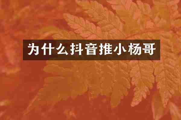 为什么抖音推小杨哥
