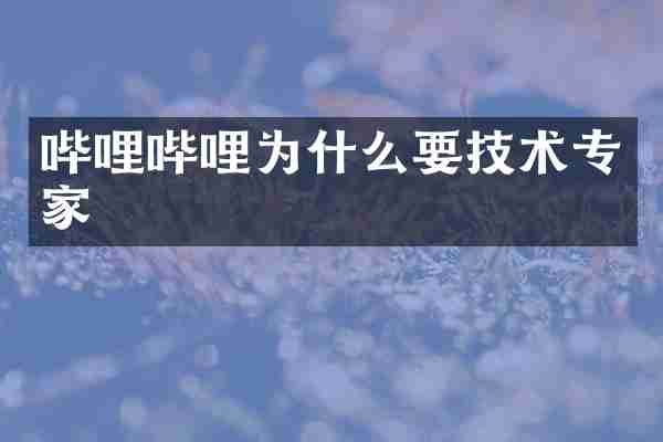 哔哩哔哩为什么要技术专家