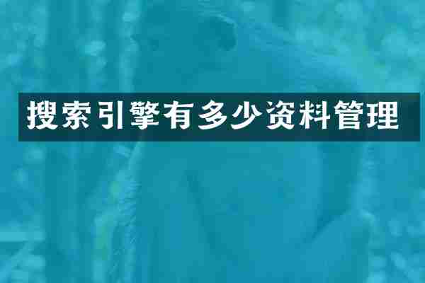 搜索引擎有多少资料管理