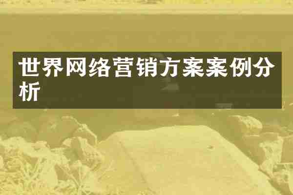 世界网络营销方案案例分析
