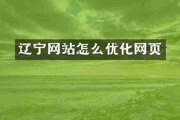 辽宁网站怎么优化网页