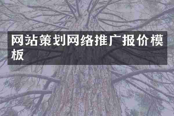 网站策划网络推广报价模板