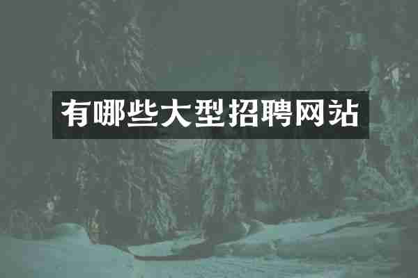 有哪些大型招聘网站