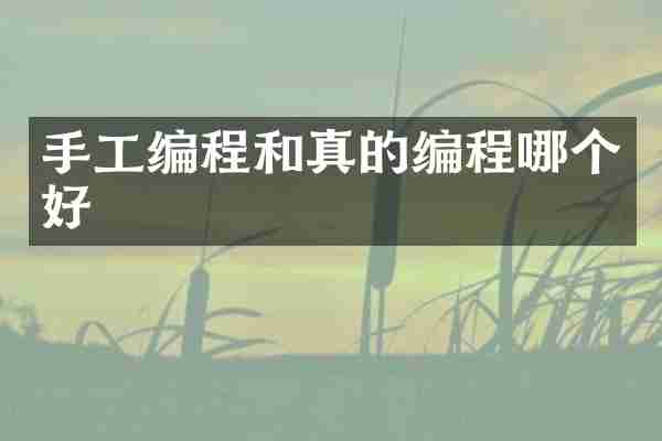 手工编程和真的编程哪个好