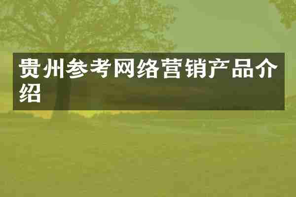 贵州参考网络营销产品介绍