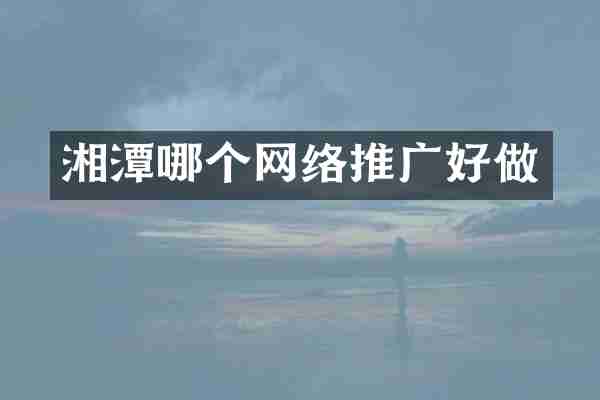 湘潭哪个网络推广好做