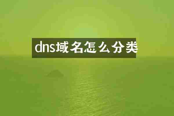 dns域名怎么分类