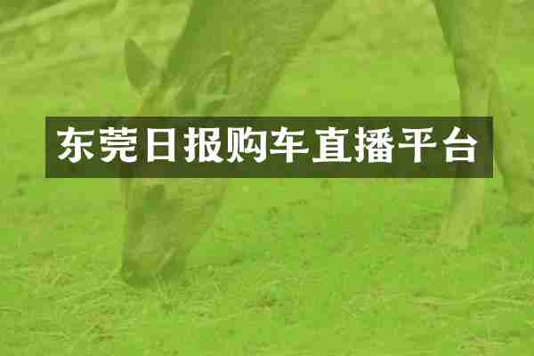 东莞日报购车直播平台