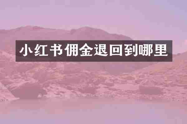 小红书佣金退回到哪里