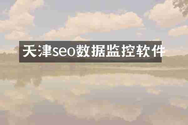 天津seo数据监控软件