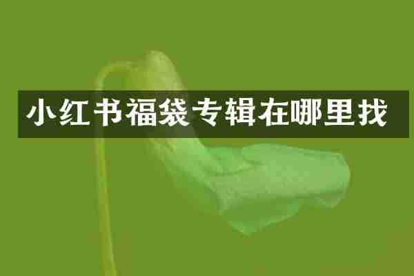 小红书福袋专辑在哪里找
