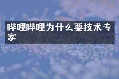 哔哩哔哩为什么要技术专家