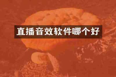 直播音效软件哪个好