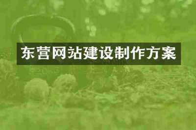 东营网站建设制作方案