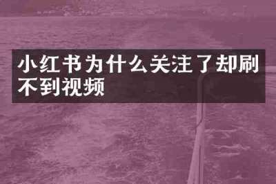 小红书为什么关注了却刷不到视频