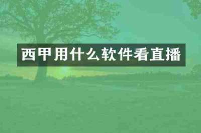 西甲用什么软件看直播