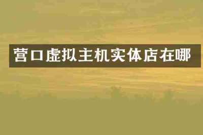 营口虚拟主机实体店在哪