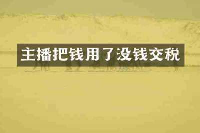 主播把钱用了没钱交税