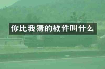 你比我猜的软件叫什么
