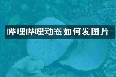 哔哩哔哩动态如何发图片