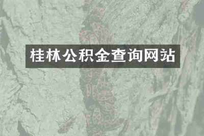 桂林公积金查询网站