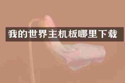 我的世界主机板哪里下载