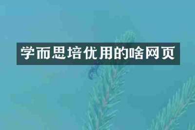 学而思培优用的啥网页