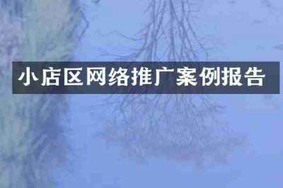 小店区网络推广案例报告
