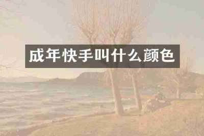 成年快手叫什么颜色