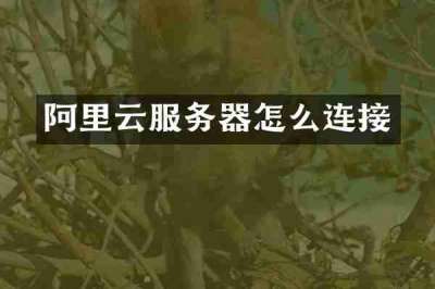 阿里云服务器怎么连接