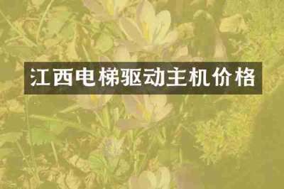 江西电梯驱动主机价格