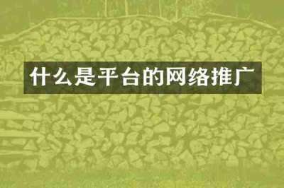 什么是平台的网络推广
