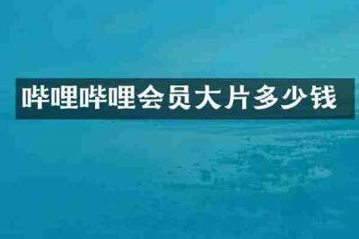 哔哩哔哩会员大片多少钱