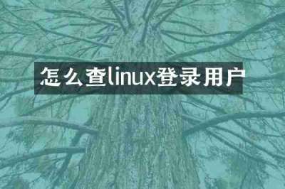 怎么查linux登录用户