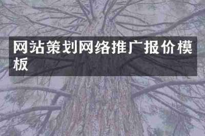 网站策划网络推广报价模板