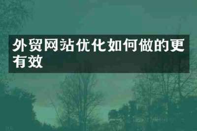 外贸网站优化如何做的更有效