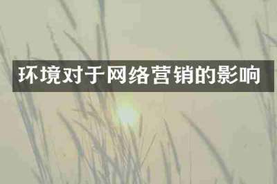 环境对于网络营销的影响