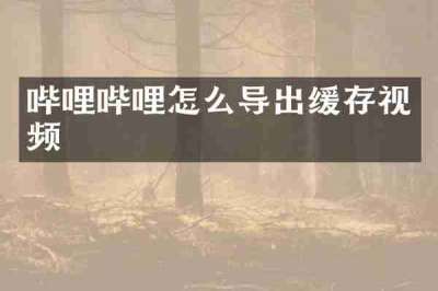 哔哩哔哩怎么导出缓存视频