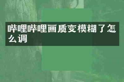 哔哩哔哩画质变模糊了怎么调